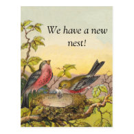 Nesting Birds New Address Postcard
