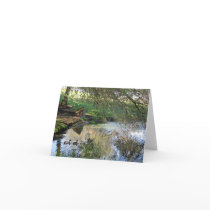 Nesting Ducks cards