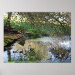"Nesting Ducks" Poster