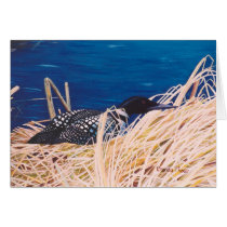 Nesting Loon Card by bmthour Nesting Loon Card