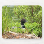 Nesting Loon mouse pad mousepads