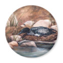 Nesting Time magnets by bmthour Nesting Time magnets