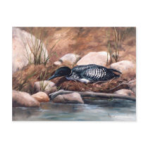 Nesting Time Postcard by bmthour Nesting Time Postcard
