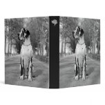 Nestor black & white binders