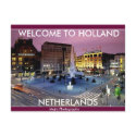 NETHERLAND oxes Postcard by onifade6 NETHERLAND oxes Postcard