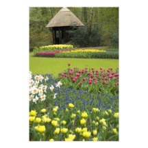 Netherlands aka Holland), Lisse. Keukenhof 5 Art Photo
