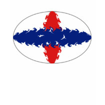 Netherlands Antilles Gnarly Flag T-Shirt