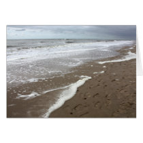 Netherlands Egmond aan Zee 05 2010 beach may 02 cards