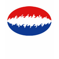 Netherlands Gnarly Flag T-Shirt