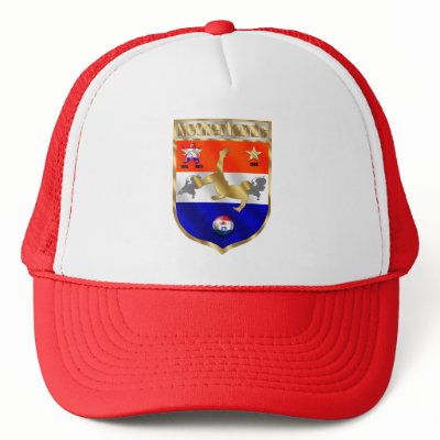 dutch soccer emblem