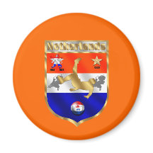 dutch soccer emblem