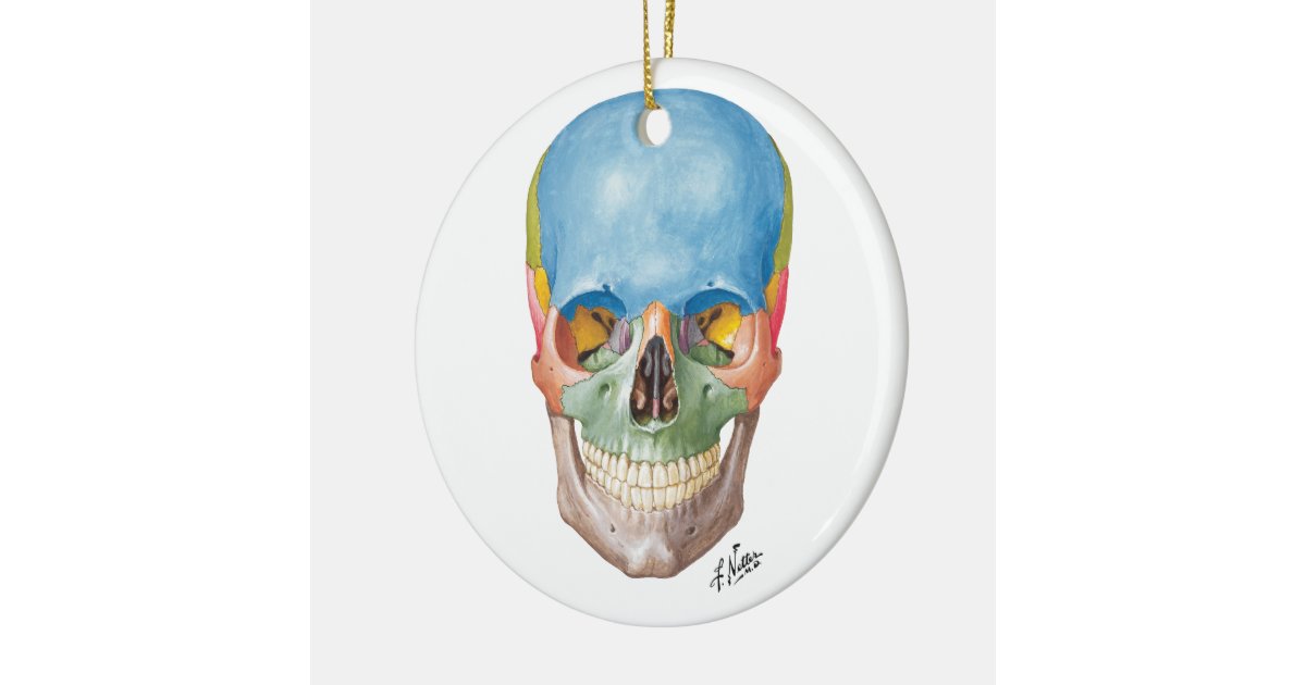 netter skull for your christmas tree ceramic ornament zazzle netter skull for your christmas tree ceramic ornament zazzle