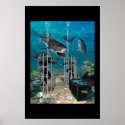 Network Predators posters