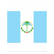 neuquen, Argentina posters