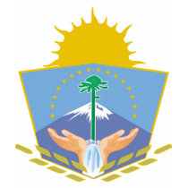 Neuquen, Argentina t-shirts by bestflag Neuquen, Argentina t-shirts