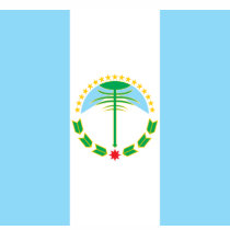 neuquen, Argentina t-shirts by bestflag neuquen, Argentina t-shirts