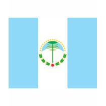 neuquen, Argentina t-shirts by bestflag neuquen, Argentina t-shirts