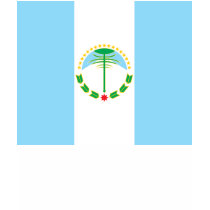 neuquen, Argentina t-shirts by bestflag neuquen, Argentina t-shirts