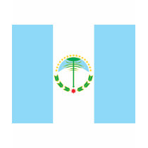 neuquen, Argentina t-shirts by bestflag neuquen, Argentina t-shirts