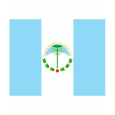 neuquen, Argentina Tshirts by bestflag