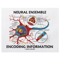 Neural Ensemble Encoding Information (Neuron) Custom Flyer