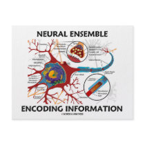 Neural Ensemble Encoding Information (Neuron) invitations