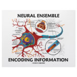 Neural Ensemble Encoding Information (Neuron) Custom Letterhead