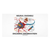 Neural Ensemble Encoding Information (Neuron) Custom Photo Card