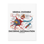 Neural Ensemble Encoding Information (Neuron) Post Card
