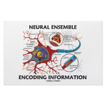 Neural Ensemble Encoding Information (Neuron) stationery
