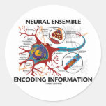 Neural Ensemble Encoding Information (Neuron) Round Sticker
