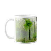 neuratt frond, neuratt fern tree carboniferous mugs by mitschler neuratt frond, neuratt fern tree carboniferous mugs