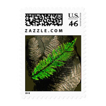 neuratt frond postage by mitschler neuratt frond postage