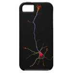 NeuroBranchIPh4 iPhone 5 Covers