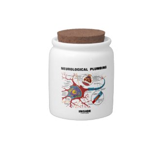 Neurological Plumbing Inside (Neuron / Synapse) Candy Jar