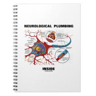 Neurological Plumbing Inside (Neuron / Synapse) Notebook