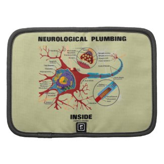 Neurological Plumbing Inside (Neuron / Synapse) Planners