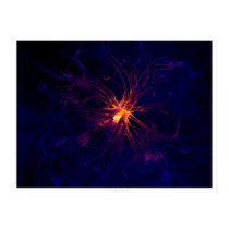 Neuron posters