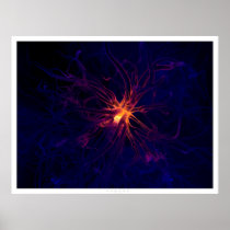 Neuron Poster