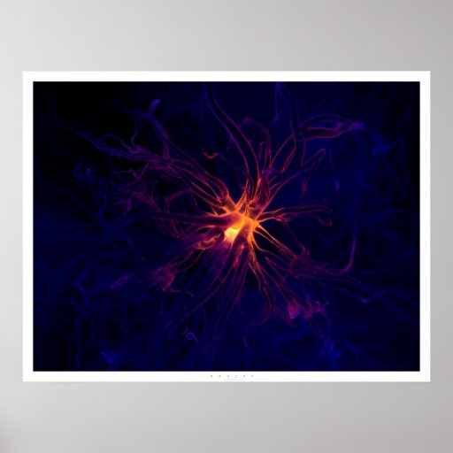 Neuron Poster