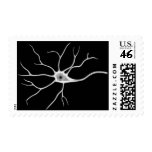 Neuron Stamps