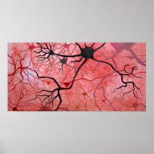 Neurons canvass print