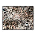 Neurons posters by ascript Neurons posters