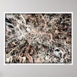 Neurons Posters