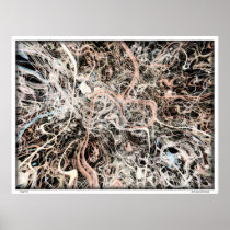 Neurons Posters
