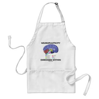 Neuroplasticity Embedded Within (Brain Anatomy) apron