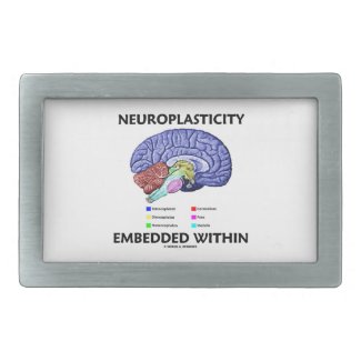 Neuroplasticity Embedded Within (Brain Anatomy) Belt Buckles