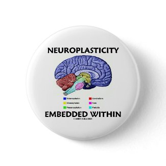Neuroplasticity Embedded Within (Brain Anatomy) button