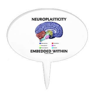 Neuroplasticity Embedded Within (Brain Anatomy) Cake Toppers