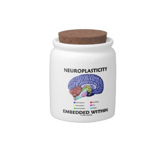 Neuroplasticity Embedded Within (Brain Anatomy) Candy Jar